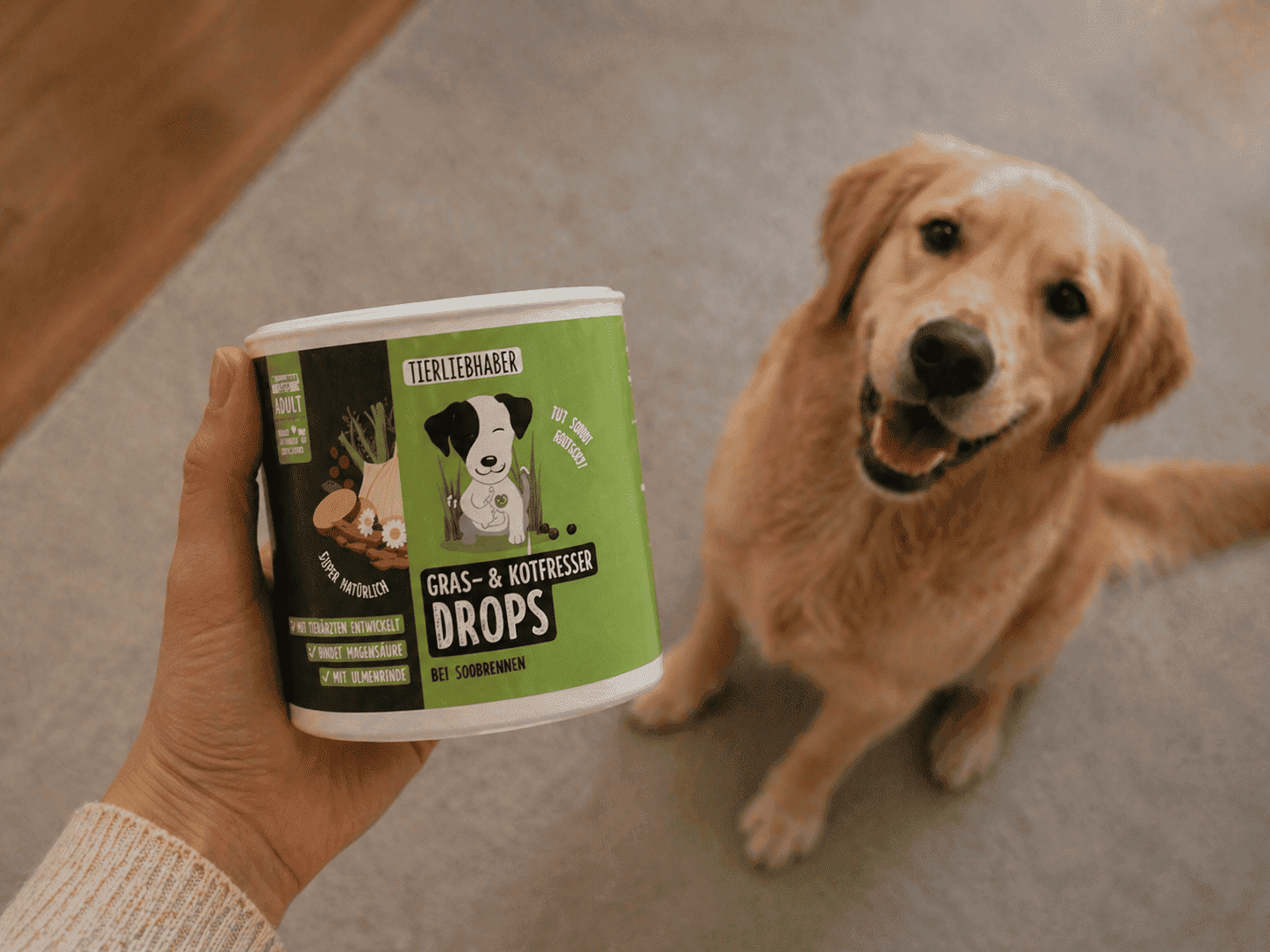 Lächelnde Hundebesitzerin füttert Golden Retriever Nala mit Tierliebhaber Gras- & Kotfresser Drops im Wohnzimmer