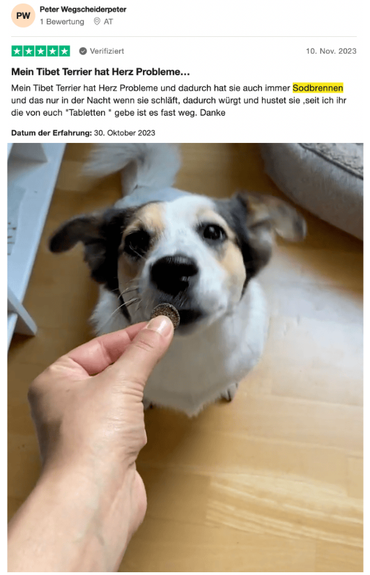 Bewertung Peter Wegscheider – Tibet Terrier